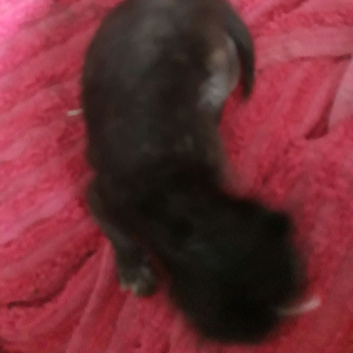 Profile Picture of jansimko95 (@jansimko95) on Tiktok