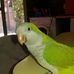 Profile Picture of Yolanda Bordon (@yolanda.bordon.3597) on Facebook