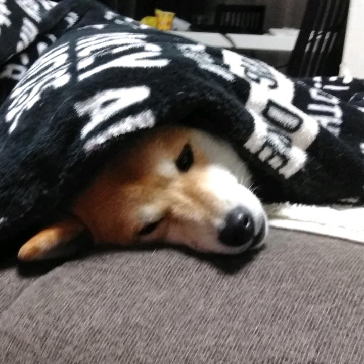 Profile Picture of Renee.Hancock (@lillygap4zt) on Tiktok