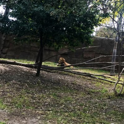 Profile Picture of Javier Pozos (@ozoxavi16) on Twitter