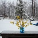Profile Picture of Gail Simms McGinty (@mcgintyga) on Pinterest
