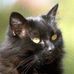 Profile Picture of Floyd Kaser (@floyd.kaser) on Facebook