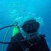 Profile Picture of Mark Helderman (@markthis1) on Pinterest