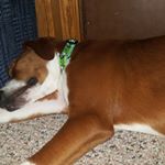 Profile Picture of Jonathan Veilleux (@veilleuxjon) on Instagram