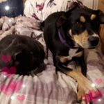 Profile Picture of Jody Gilliard Dunbar (@dunbar.jody) on Instagram