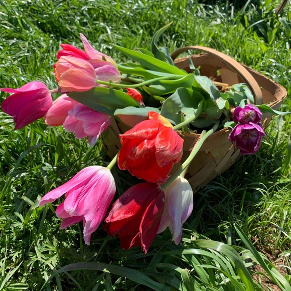 Profile Picture of Kayte Parkerson (@kayte_parkerson) on Poshmark