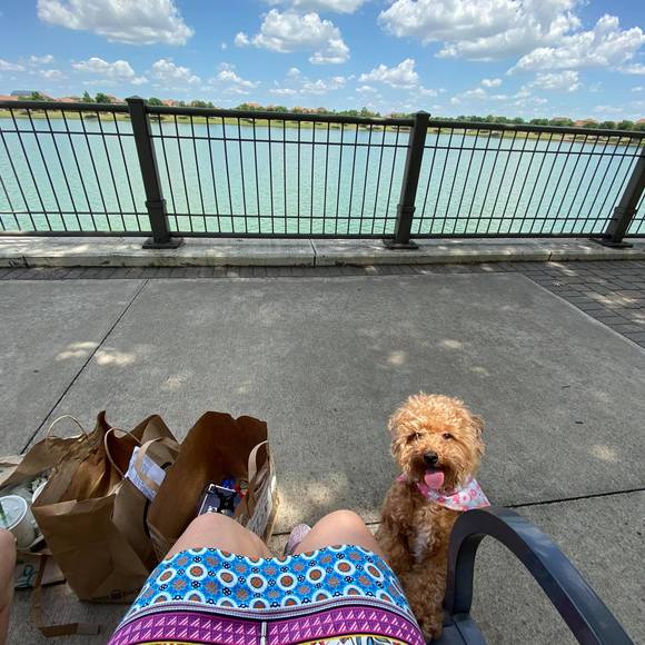 Profile Picture of Alice yeojin Yoo (@bonamesmitte) on Poshmark