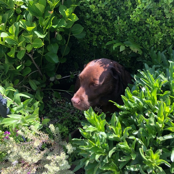 Luciana Pesavento - Poshmark Profile Picture of Luciana Pesavento (@lpesavento) on Poshmark