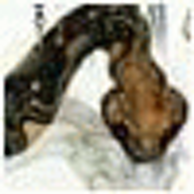 Profile Picture of Harold Nance (@marienikg) on Twitter