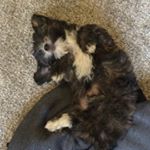 Profile Picture of Gavin Rourke (@gavin_rourke) on Instagram