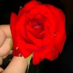 Profile Picture of Alisha Ansari (@alisha.ansari.562607) on Facebook