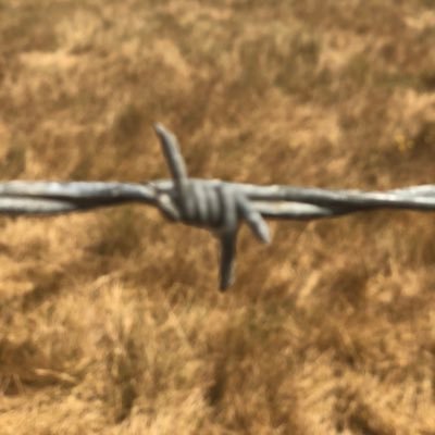 Profile Picture of Mike Anelli (@blurr1) on Twitter