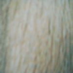 Profile Picture of douglas_mcquade (@douglas_mcquade) on Instagram