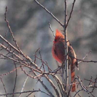 Profile Picture of Sherry Dobreski (@sdobreski) on Twitter