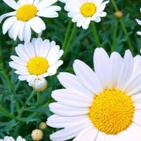 Profile Picture of Calla Johnson (@calla-johnson-3) on Quora