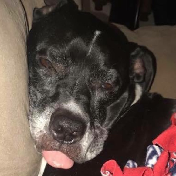 Profile Picture of Daniel Masek (@djm7748) on Poshmark