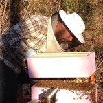 Profile Picture of Matthew Yearout (@apisdurham) on Instagram