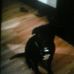 Profile Picture of Jason Lightner (@Jason-Lightner) on Facebook