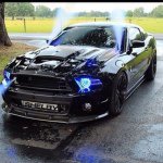 Profile Picture of Anthony Michael Lozito A-M-X (@amx_customs) on Instagram