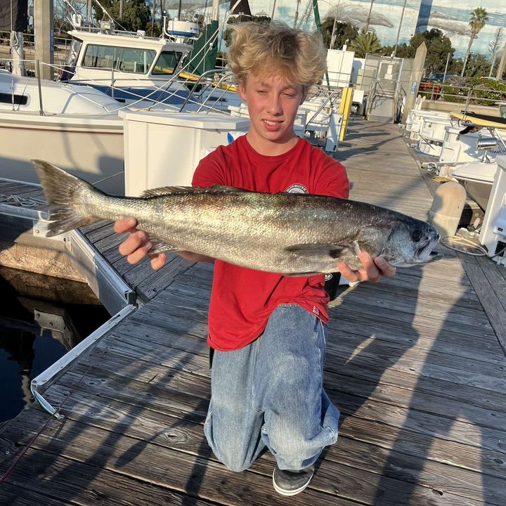 Profile Picture of hudson (@hudson_bbp) on Tiktok