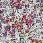 Profile Picture of Amada Wallgren (@amadawallgrensn0j) on Instagram