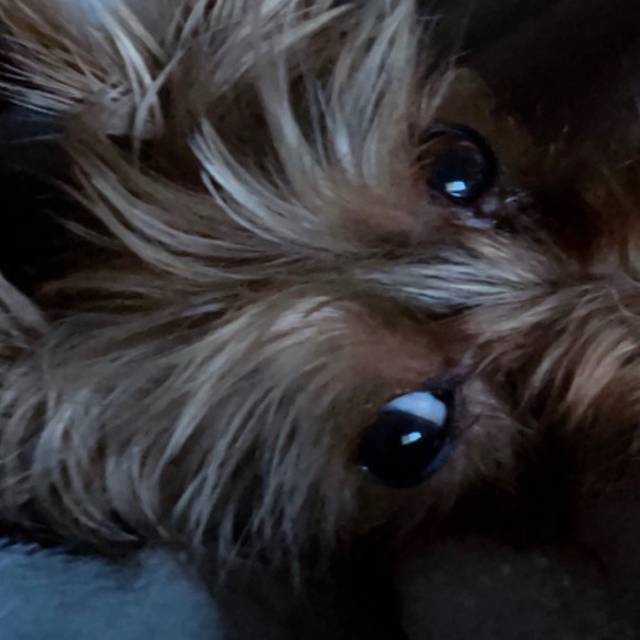 Profile Picture of Jim Pena (@jimpena) on Poshmark