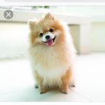 Profile Picture of Marilyn Workman (@workman4900) on Instagram