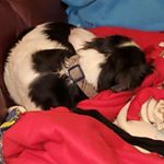 Profile Picture of Bobbie  Cotterman (@nagol52897) on Instagram