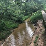 Profile Picture of Pam,Lolo,Toby,Quinn,& Anna (@nawlins_sunseekers) on Instagram