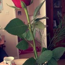 Profile Picture of Amy Kirby (@amykirby1415) on Twitter