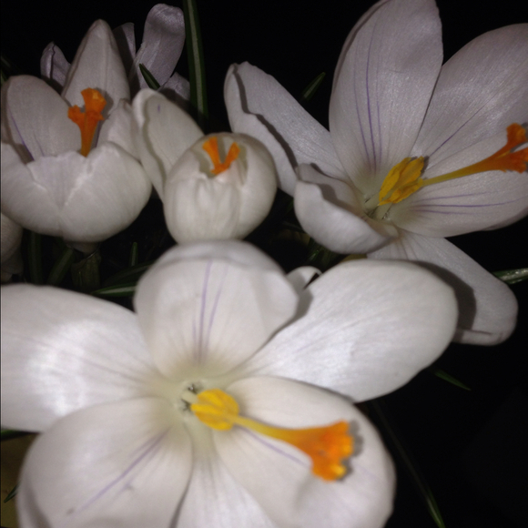 Olga Tkachenko - Poshmark Profile Picture of Olga Tkachenko (@olgatkachenko0) on Poshmark