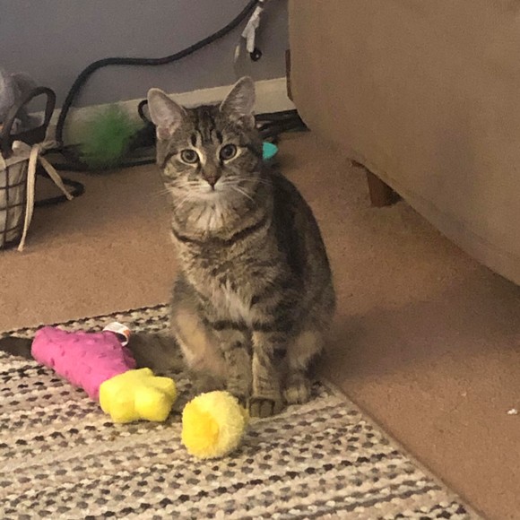 Profile Picture of Elizabeth Wearsch (@ewearsch) on Poshmark