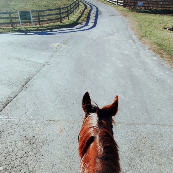 Profile Picture of Eleni Kangas (@elenikangas) on Poshmark