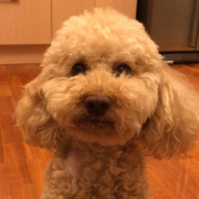 Profile Picture of Daryl Ng (@darylink) on Twitter