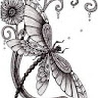 Profile Picture of Amanda Shackelford (@amanda-shackelford-16) on Quora