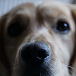 Profile Picture of John Cook (@johncook15) on Flickr