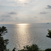 Profile Picture of David Dallos (@zedolmidejvu) on Youtube