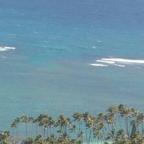 Profile Picture of Sandra Telfare (@s_telfare) on Poshmark