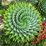 Sarah Levett - Instagram Profile Picture of Sarah Levett (@revitalisinghomes) on Instagram