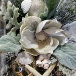 Profile Picture of Kim Barrett (@kim.barrett.1297) on Instagram