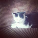 Profile Picture of William Mulder (@william.mulder.7568) on Instagram