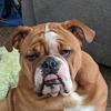 Profile Picture of jason andersen (@@crazygrizz1) on Tiktok