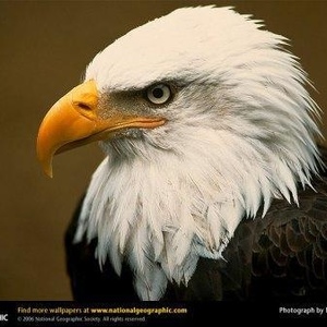 Profile Picture of Ricky David (@303830390) on Myspace