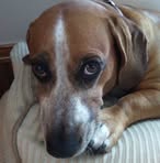 Profile Picture of Joyce Sepanski (@joyce.sepanski) on Facebook