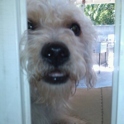 Joanna Portillo - Twitter Profile Picture of Joanna Portillo (@Joanna_is_kool) on Twitter