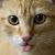 Profile Picture of Madeline Nicholas (@madeline8659) on Pinterest