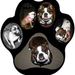 Profile Picture of Kelly Nettleton (@kenettle) on Pinterest