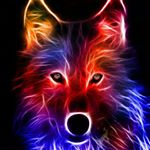 Profile Picture of bryan küster (@immer_im_wald_) on Instagram