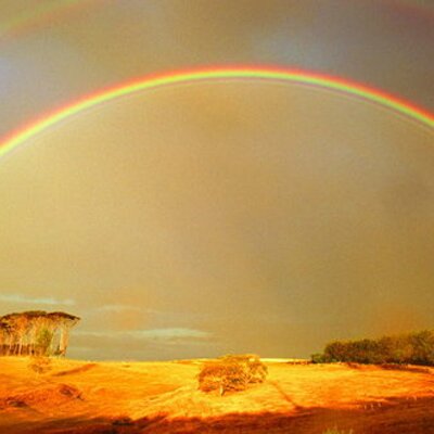 Profile Picture of Jade Wu (@jadewu321) on Twitter