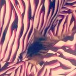 Profile Picture of James Jarrell (@jimmy122701) on Instagram